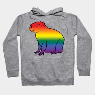 Rainbow Gradient Pride Capybara Hoodie